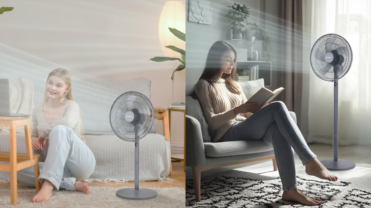 Versatile 2-IN-1 Design