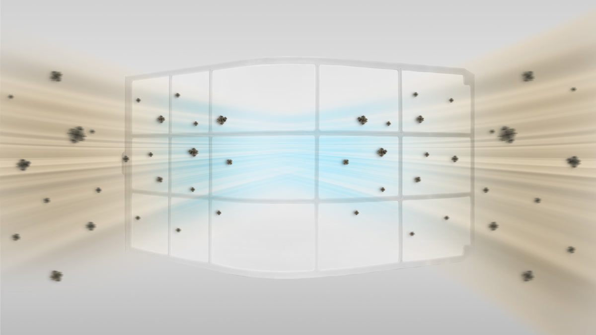 Dual Mesh Filtration System