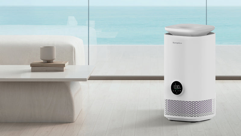 Revolutionizing Your Indoor Air Purification