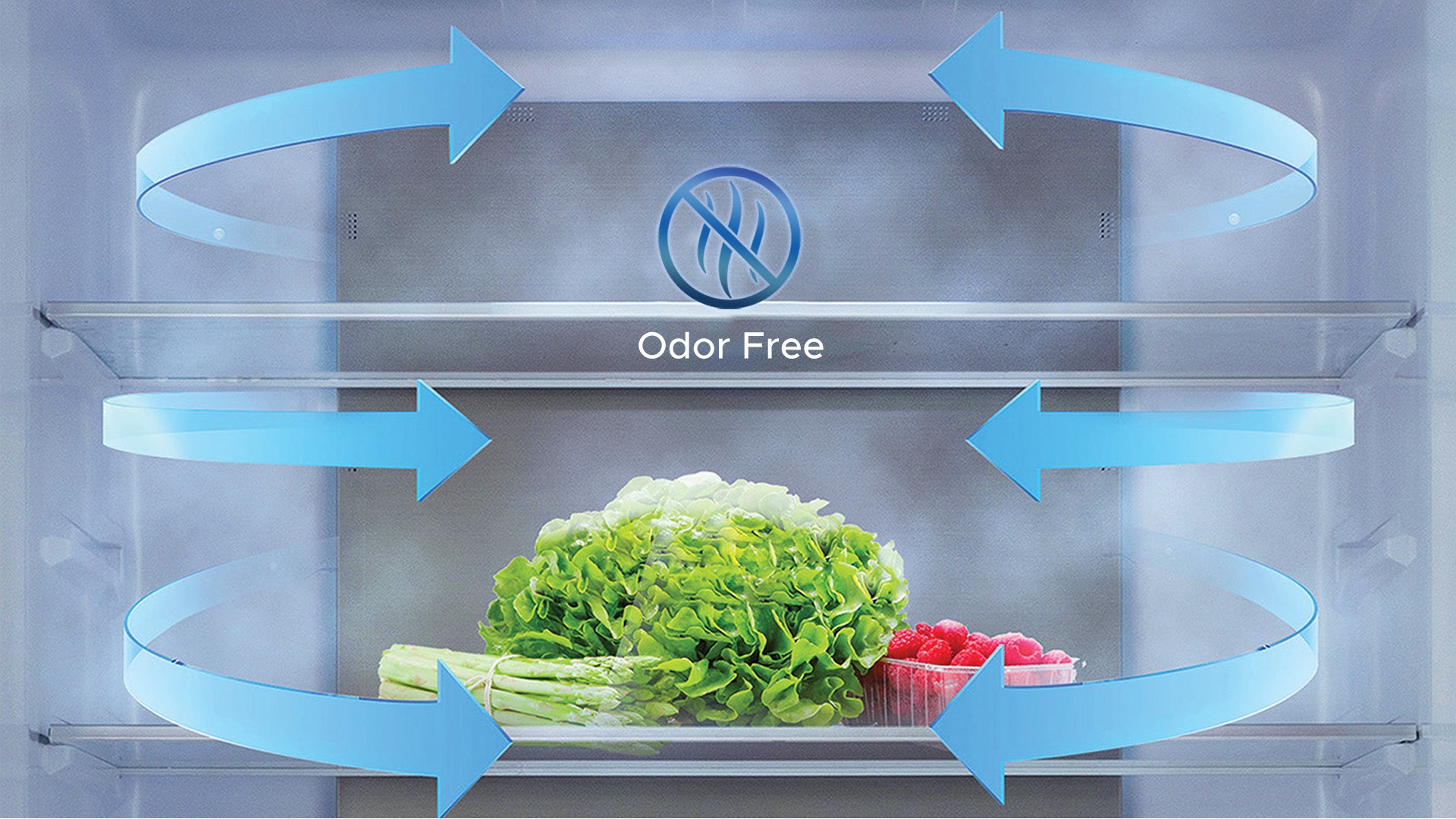 Eliminate Odors, Preserves Freshness