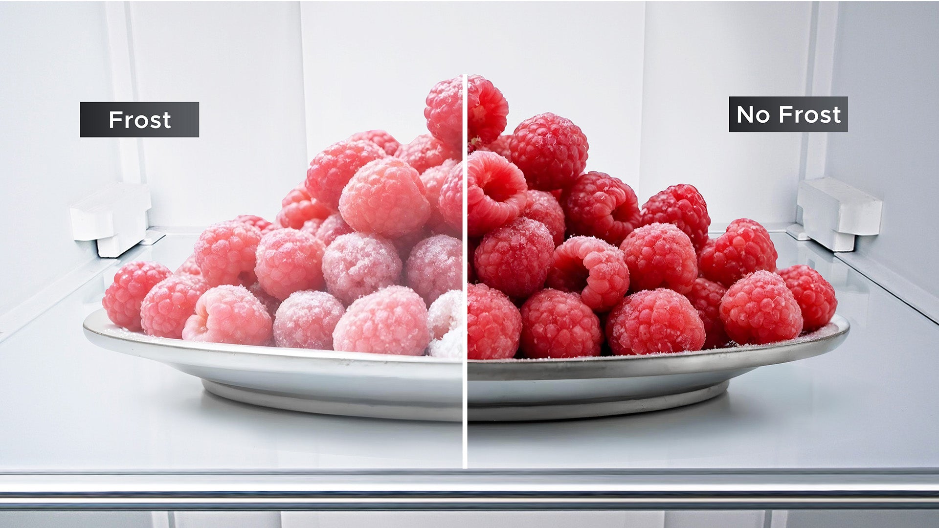 Food Stays Fresh without the Icy Build-Up