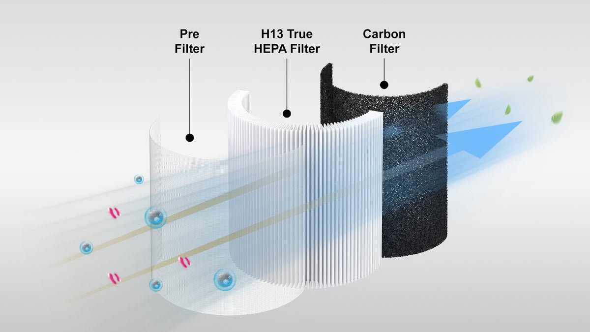 Breathe Cleaner, Healthier Air