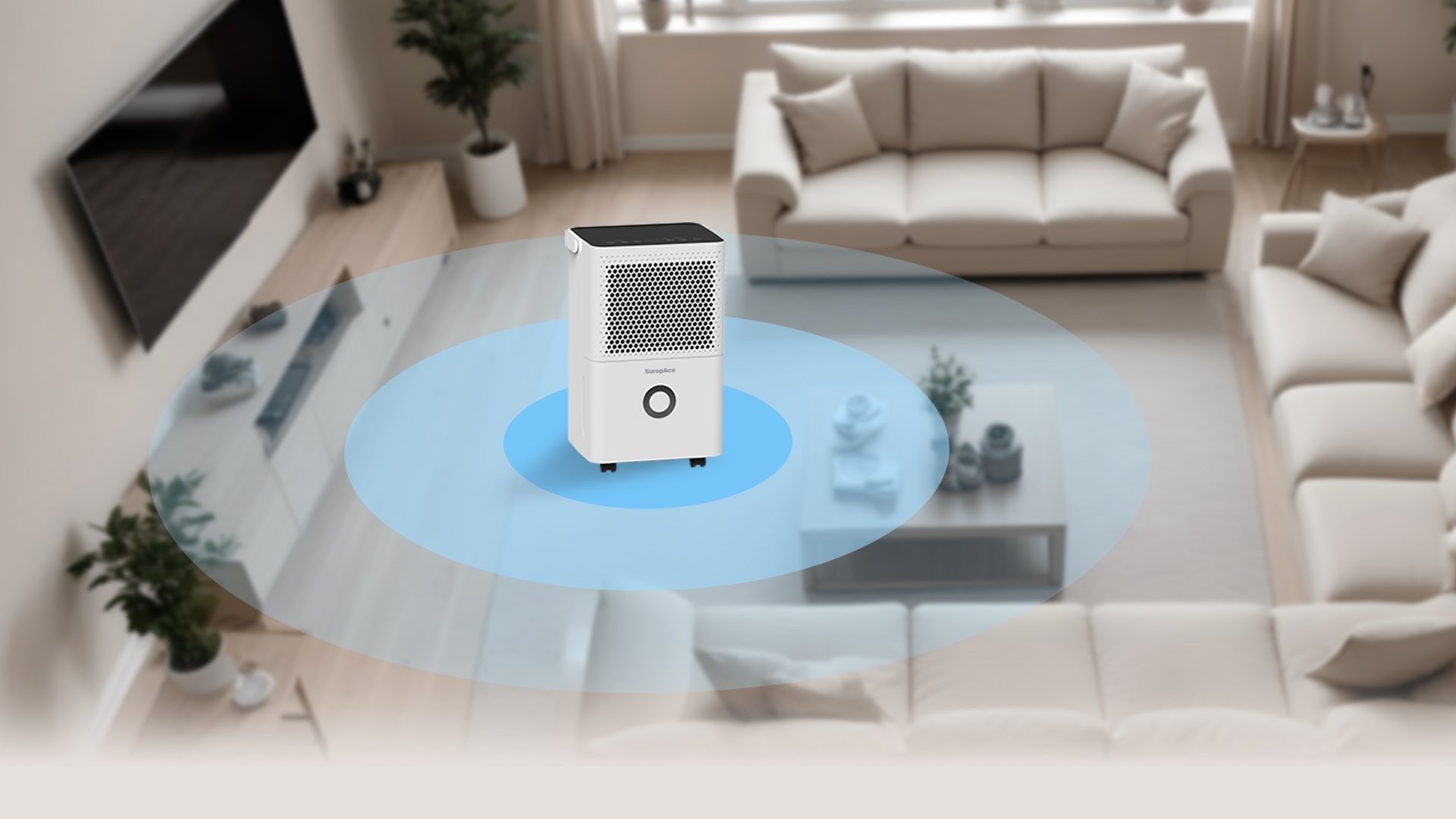 12L/Day Moisture Removal