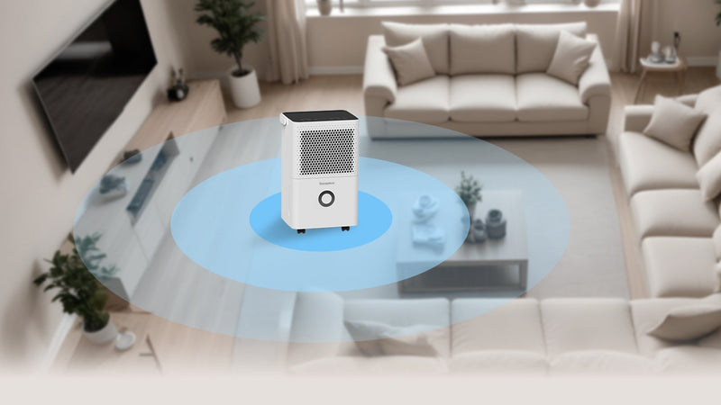 12L/Day Moisture Removal