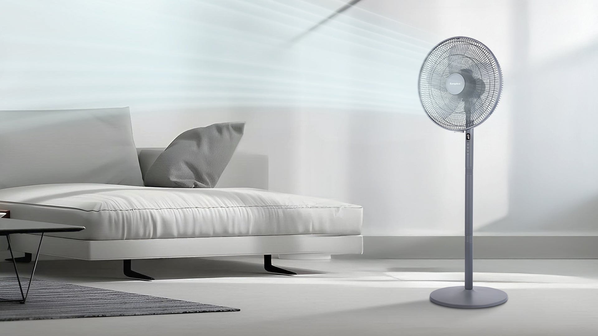 Sleek & Modern Design