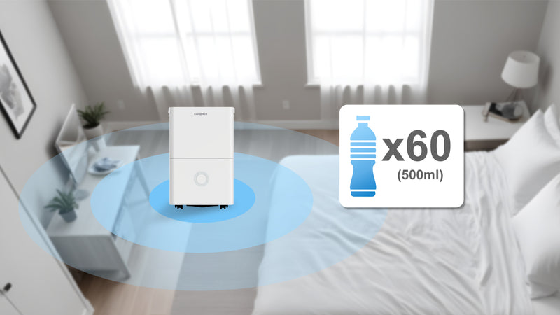 30L/Day Moisture Removal