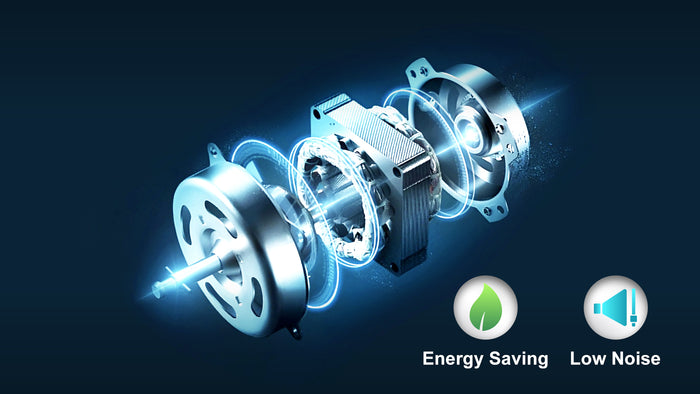 DC Motor