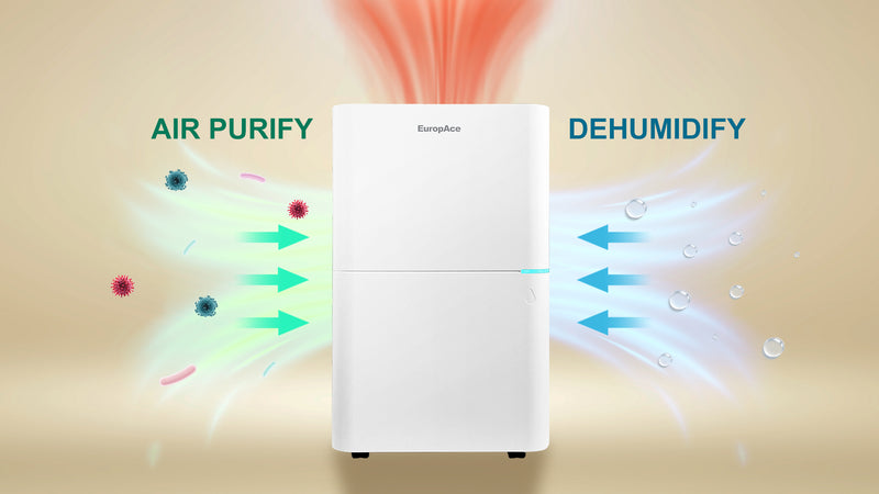 Dehumidifier + Air Purifier Combo