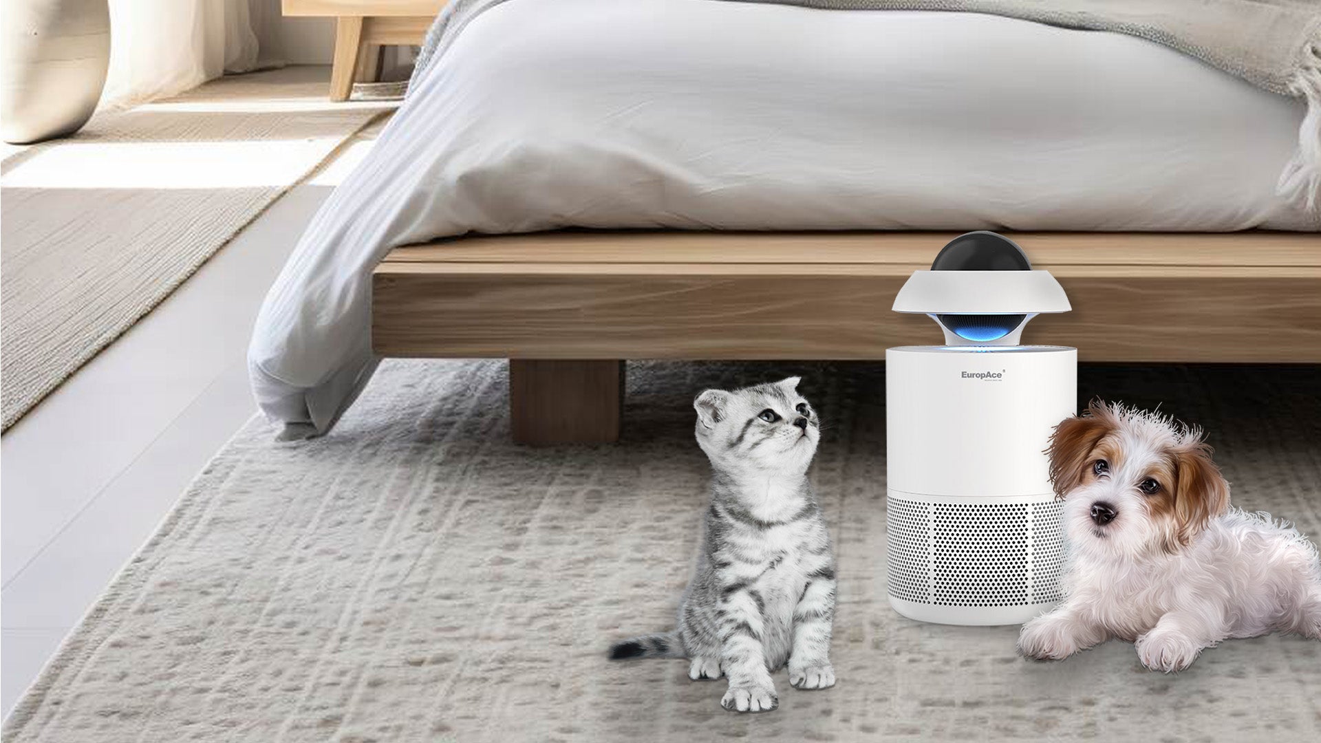 Compact Sized, Perfect for Small Spaces