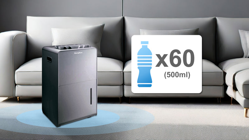 30L/Day Moisture Removal