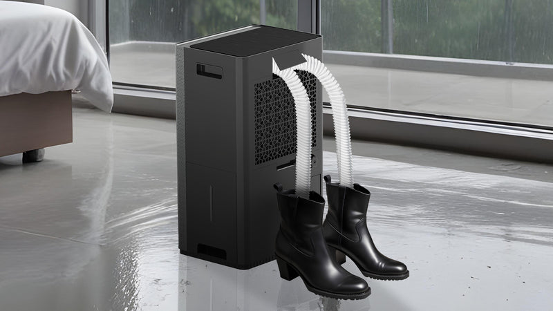 Shoe Drying Function