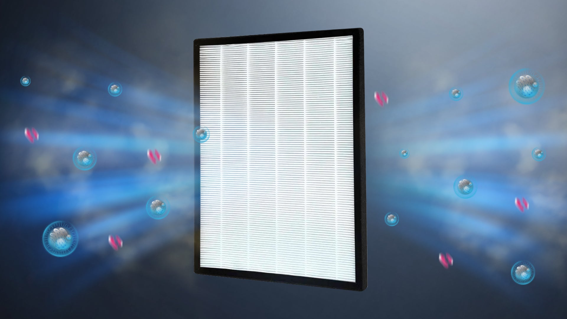 HEPA Filter + Washable Nylon Pre-Filter