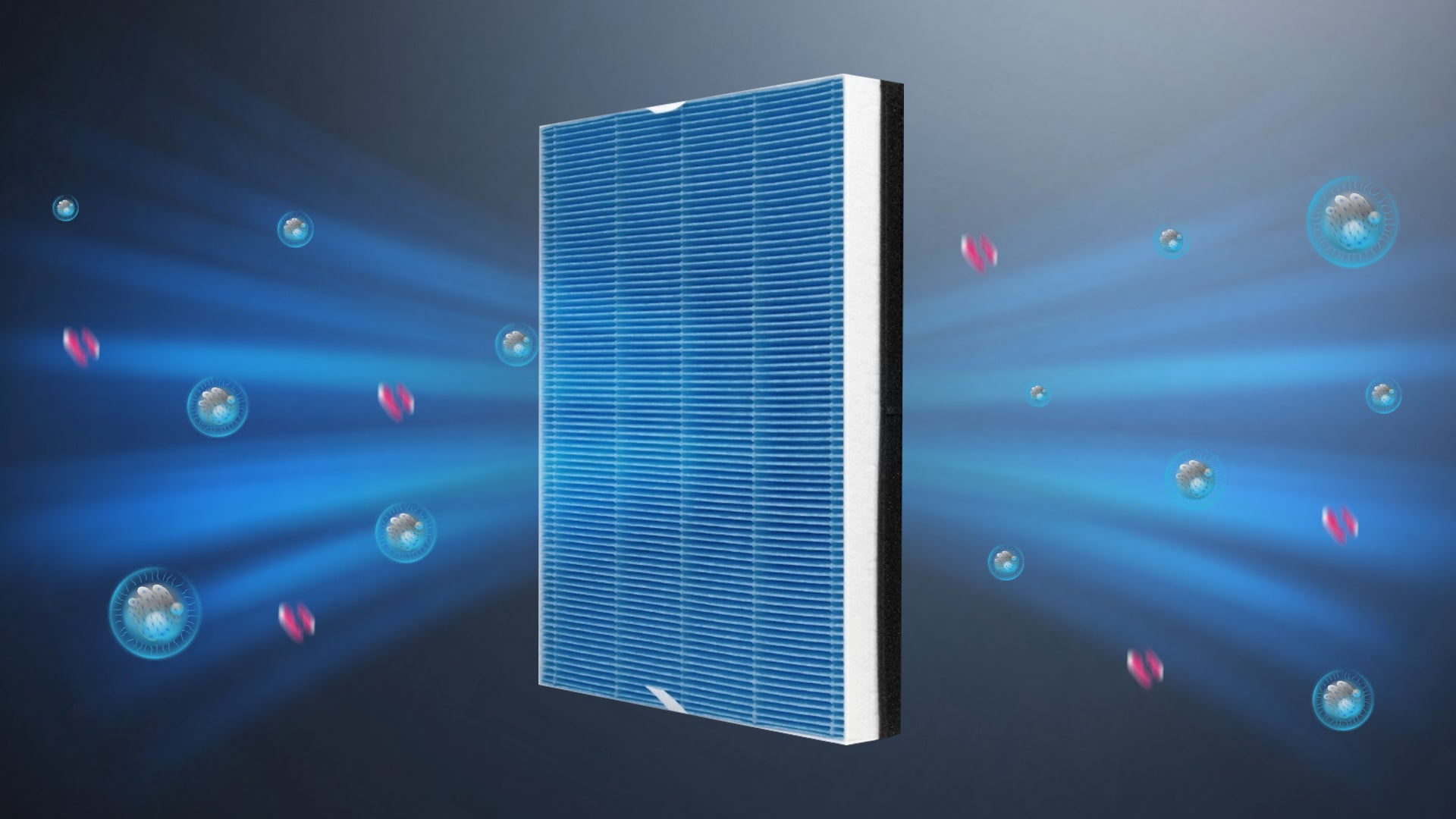 HEPA Filter + Washable Nylon Pre-Filter