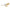 Acestar 36" 3blades Ceiling Fan
