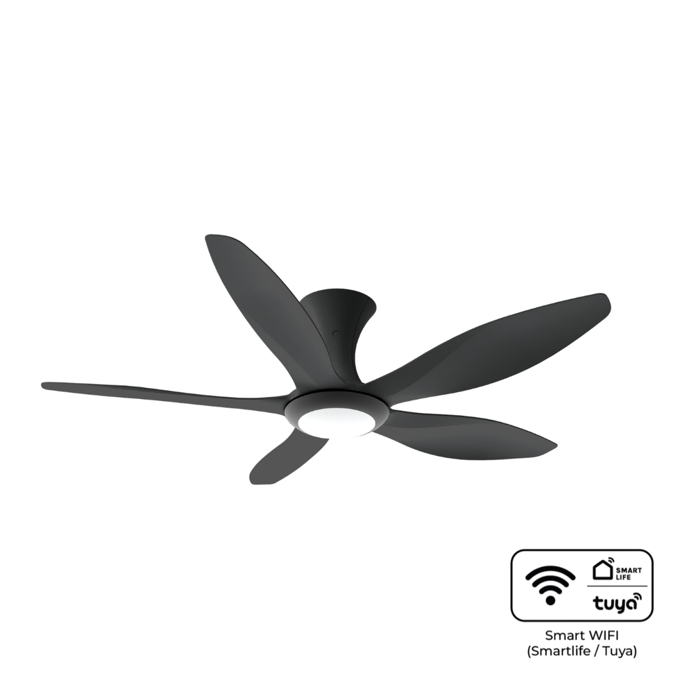 SEW AC Electric Fan 5枚羽根 BreezeAce 52