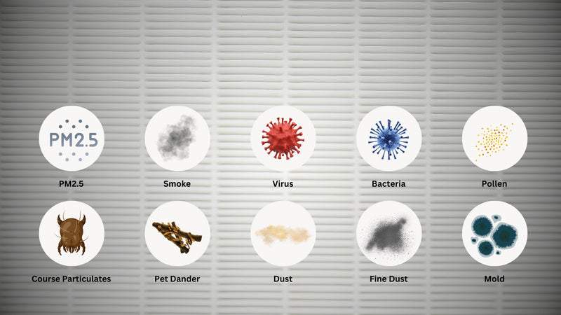 Stage 1: HEPA Filter