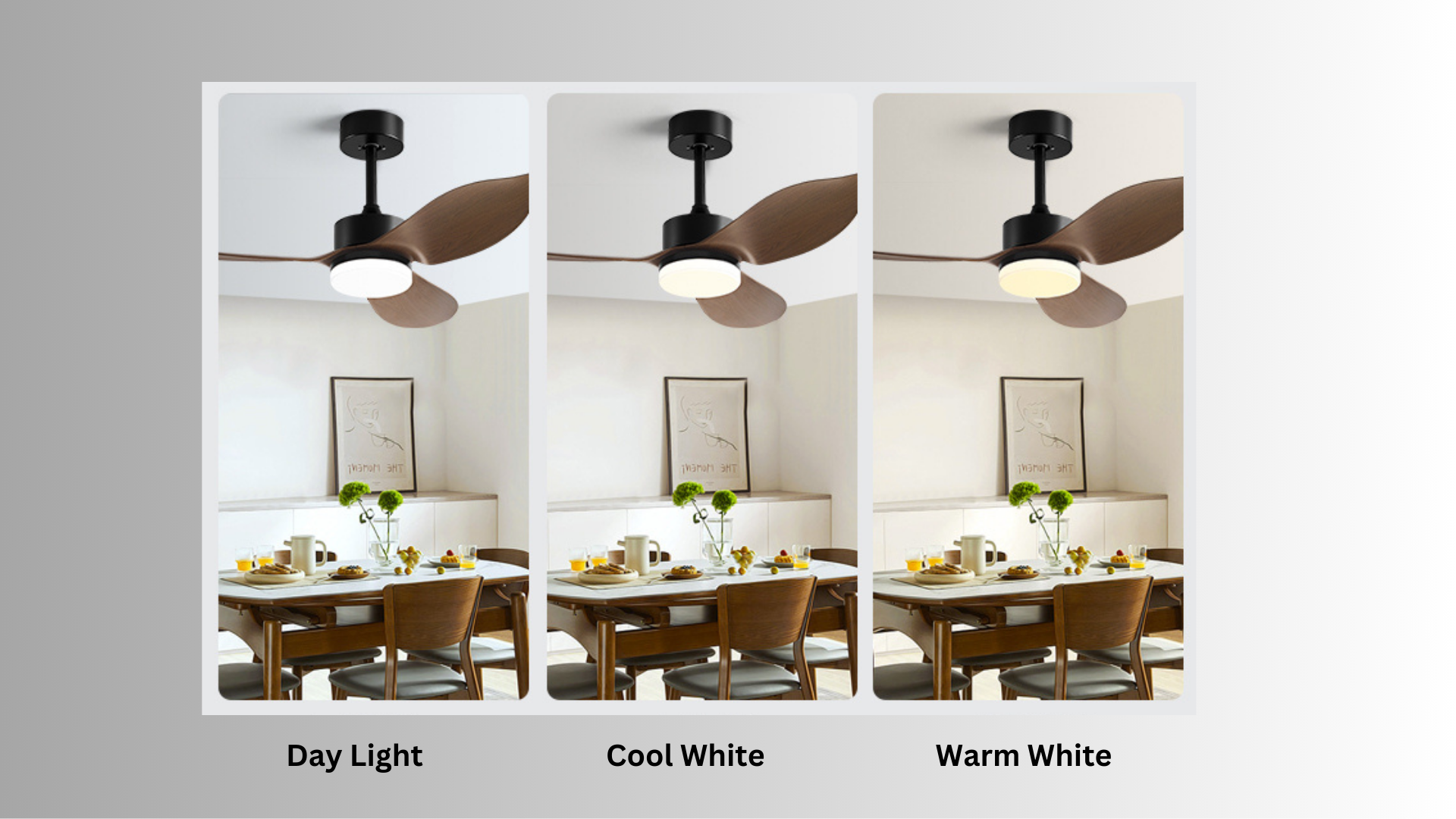 Tri-Color Lighting Setting