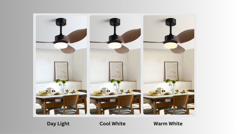 Tri-Color Lighting Setting