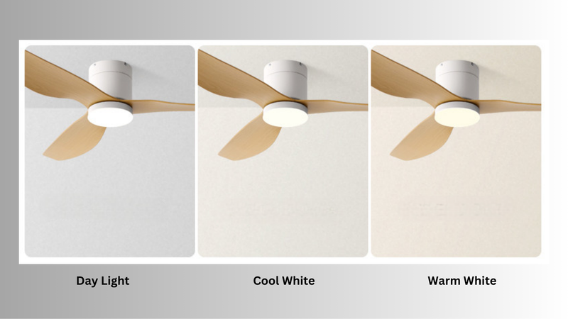 Tri-Color Lighting Setting